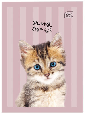 4x Zeszyt do słówek A6 PUPPY SIGN 32 kartki w kratkę NOTES