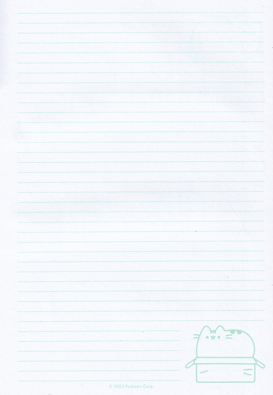 Pamiętnik pluszowy notes PUSHEEN + 3x długopis wymazywalny Bambino (58013+59317) (5)